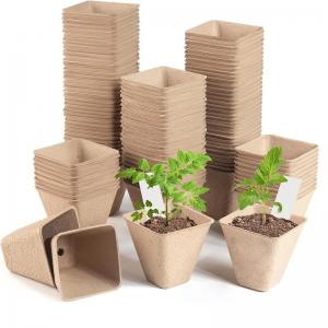 Compostable Paper Planting Tray 