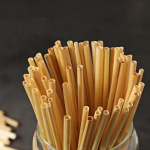 Compostable Wheat Straw 