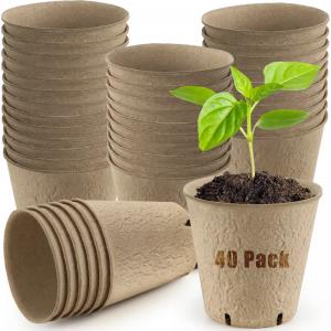 Disposable Nusery Pot