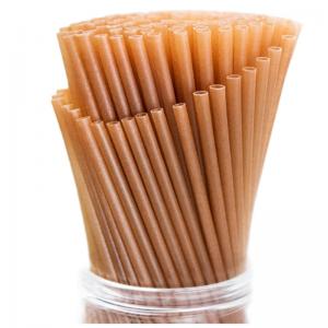 PLA Sugarcane Bagasse Straw